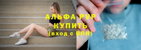 ПСИЛОЦИБИНОВЫЕ ГРИБЫ Балабаново