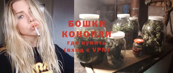 ПСИЛОЦИБИНОВЫЕ ГРИБЫ Балабаново